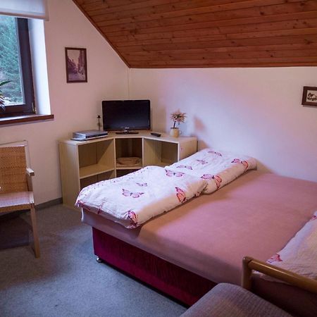 Apartment Harrachov/Riesengebirge 2400 エクステリア 写真
