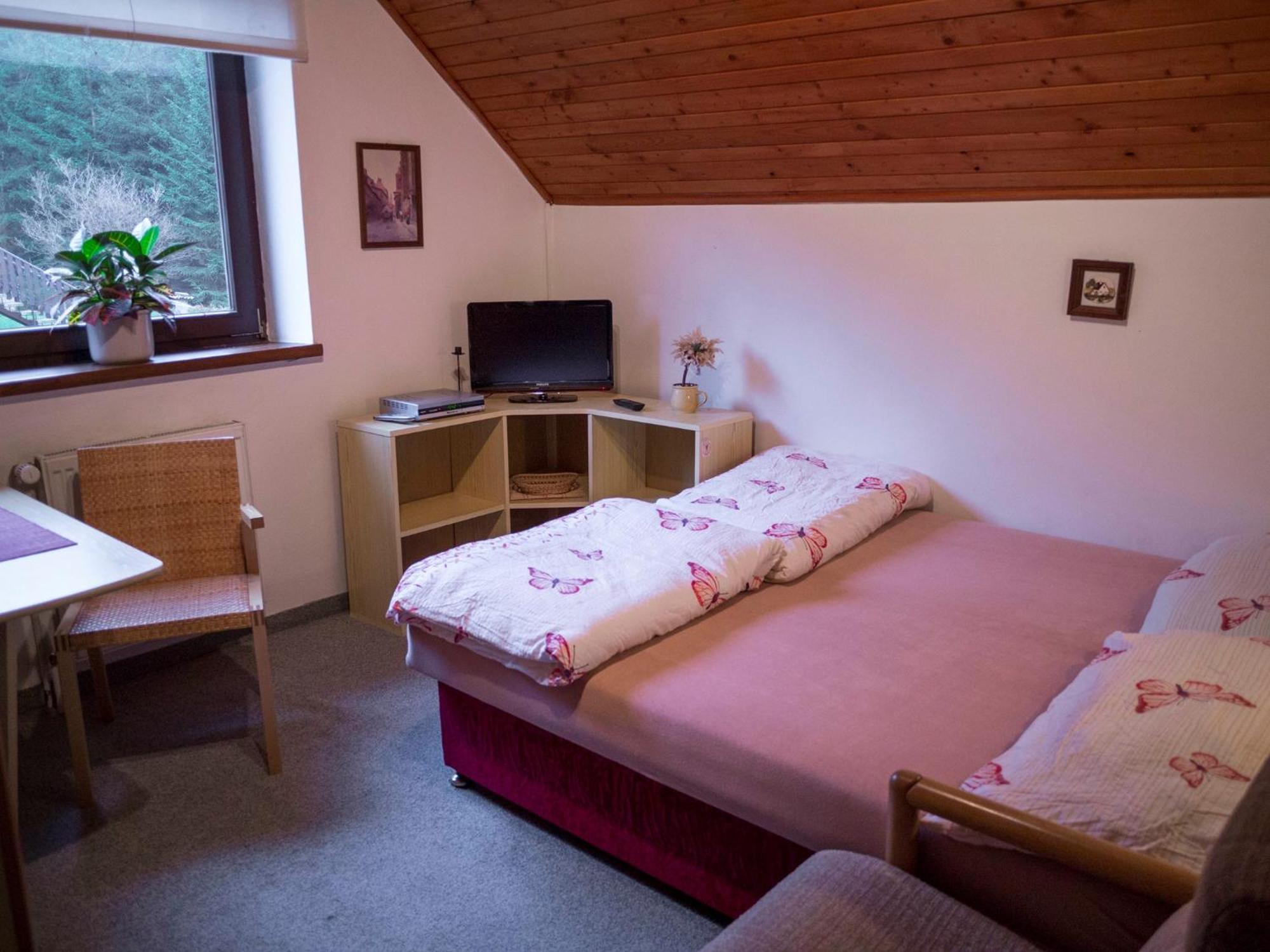 Apartment Harrachov/Riesengebirge 2400 エクステリア 写真